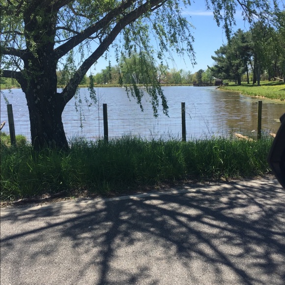 Meet your Posher, Wendy - Picture 1 of 1